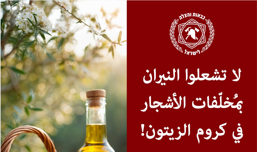 توصيات السلامة خلال موسم قطف الزيتون.